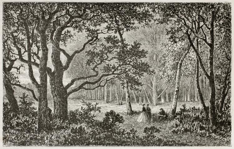 Fontainebleau, hier werd de wandelsport uitgevonden - Jongbelegen.nu