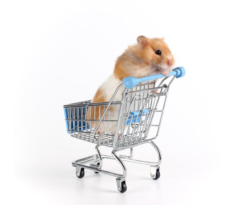 Hamsteruuuhh!!! Waarom eigenlijk? - Jongbelegen.nu