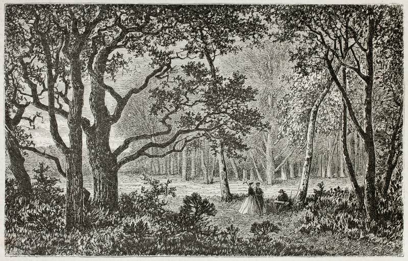 Fontainebleau, hier werd de wandelsport uitgevonden - Jongbelegen.nu